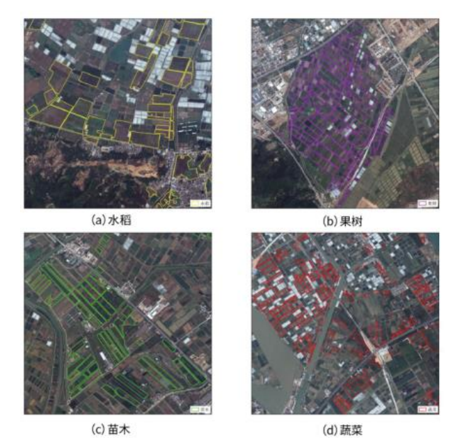 如何利用遥感卫星识别农作物种类信息(图1)