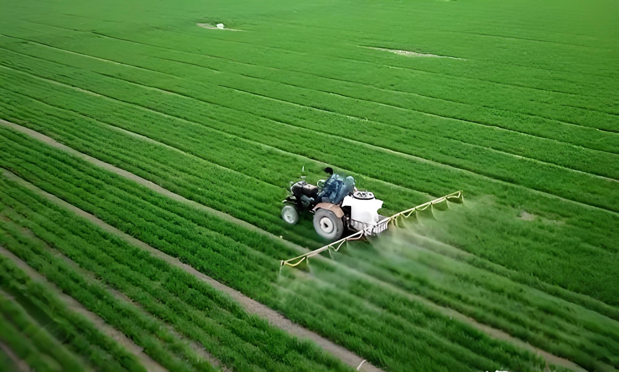 利用遥感技术监测主粮种植结构的方法(图1)
