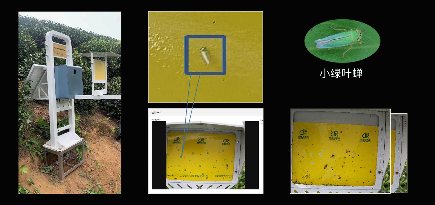 色诱虫情测报系统(图2)